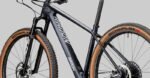 Radon Jealous 10.0 – Bild 5
