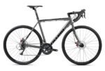 ACCENT FALCON GRAU 2022