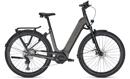 Kalkhoff Endeavour 5.B Advance+