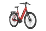 Gazelle Ultimate C8+ HMB Belt – Bild 2